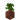 Potted Jungle Sapling UNKVER1 (facing NWU)