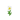 Oxeye Daisy JE6 BE1