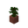 Potted Jungle Sapling JE4.png