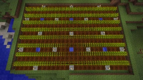 WheatFarmPatternAR8x81W2T