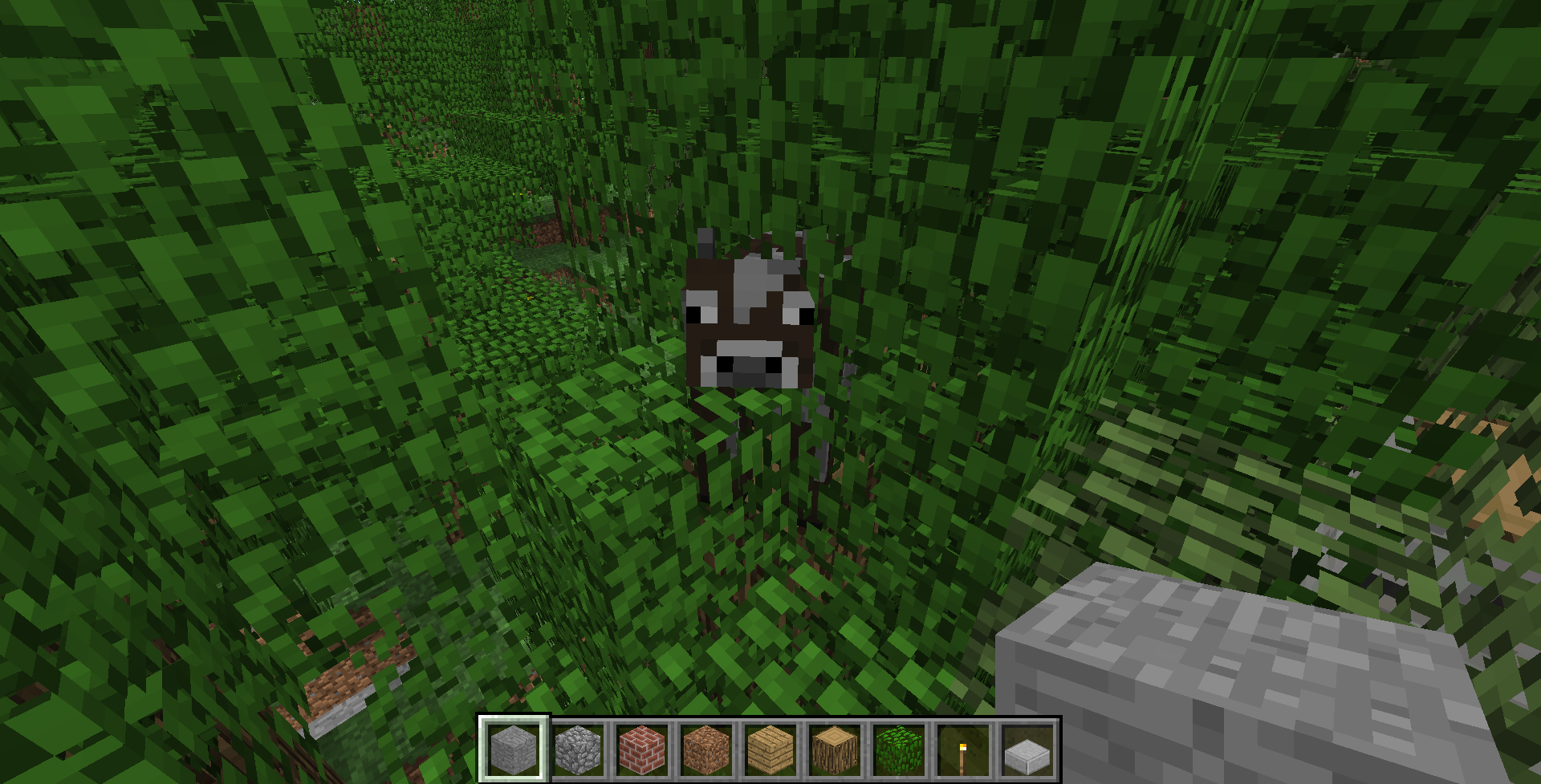 Spawn Official Minecraft Wiki