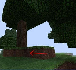 An unsupported tree.