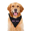 An officially licensed dog scarf depicting the face of an Enderman.