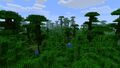 Jungle trees in a jungle biome.