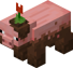 Muddy Pig