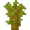 Acacia Sapling (texture) JE2 BE2.png