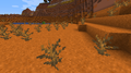 Multiple dead bushes in a badlands biome.