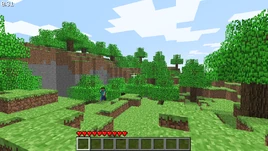 Indev 0.31 20100201-0025