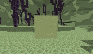 A map created in the corner far lands on PC.