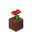 Potted Poppy JE4.png
