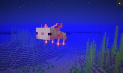 Axolotl Minecraft Wiki