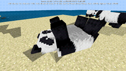 Panda – Minecraft Wiki