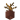 Potted Dead Bush UNKVER1 (facing NWU)