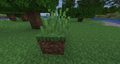 Grass appears slightly offset from a grass block.