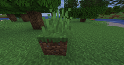 Grass Block - Minecraft Wiki - Neoseeker