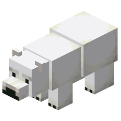 Polar bear cub