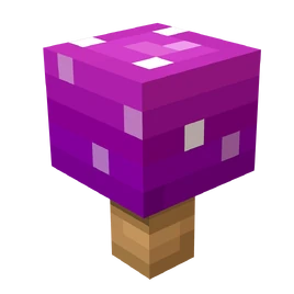 Death Cap Mushroom (MCD)