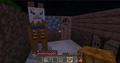 A tamed trader llama in an early survival mode house.