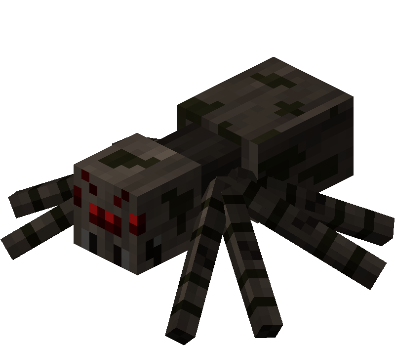 The Öko Box: Big Spider with Striped Long Legs