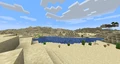 Desert biome.