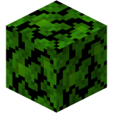 Jungle Leaves (Fast)