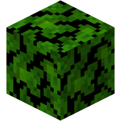 Jungle Leaves