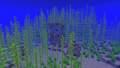 Underwater ruins generated intersecting an ocean monument, exposing the treasure room.