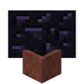 Potted Obsidian.png