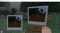 A photo being placed in an item frame.
