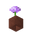 Potted Allium UNKVER1 (facing NWU).png