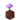 Potted Allium UNKVER1 (facing NWU)