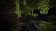 Lush Caves