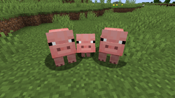 Pig – Minecraft Wiki