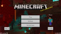 Bedrock 1.16.220