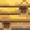 Bee Nest (front texture) JE1 BE1.png