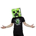 Minecraft box head creeper costume