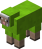 Lime Sheep JE1
