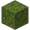Moss Block