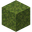 Moss Block JE1 BE1.png