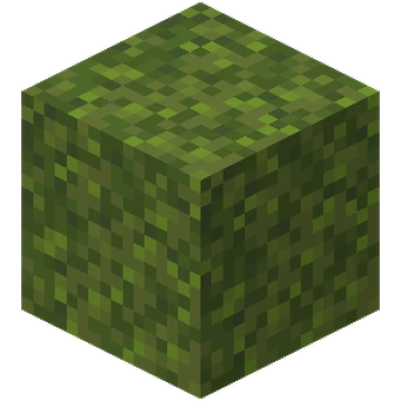 Moss Block – Minecraft Wiki