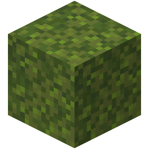Moss Block Minecraft Wiki