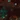 1.16 panorama 1