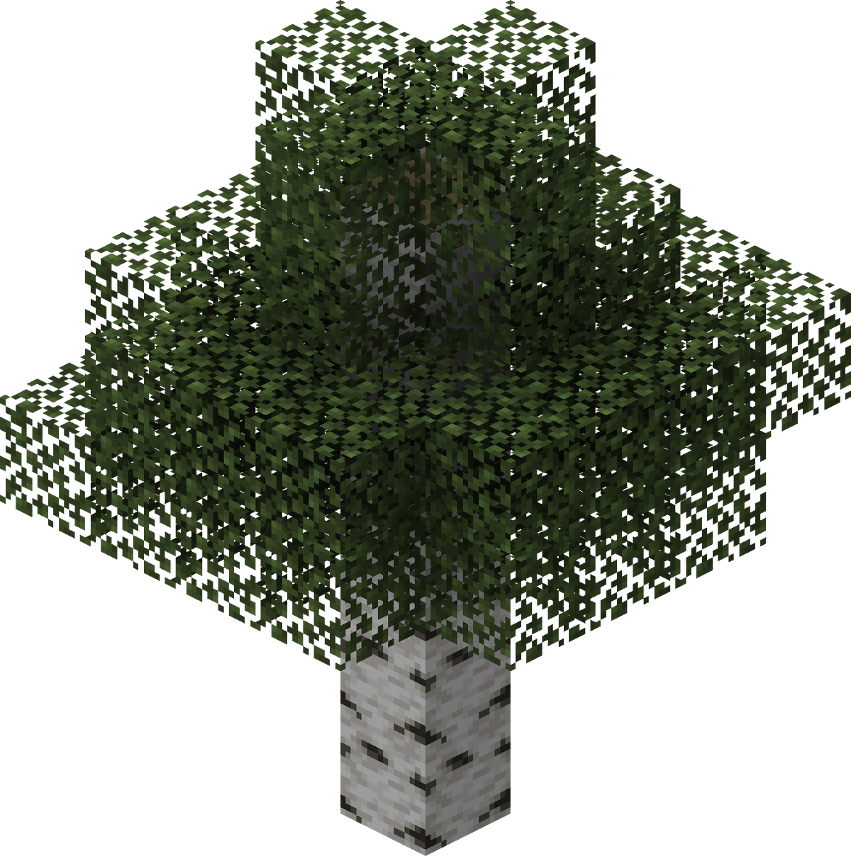 Birch – Minecraft Wiki