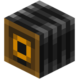 Camera (block)