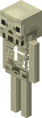 Skeleton