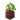 Potted Birch Sapling UNKVER2 (facing NWU)