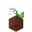 Potted Lily of the Valley UNKVER2 (facing NWU).png