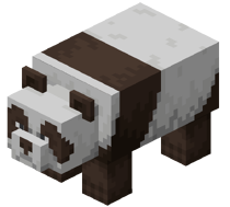 Brown Panda (Dungeons)