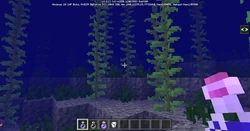 First image of kelp in Bedrock Edition.