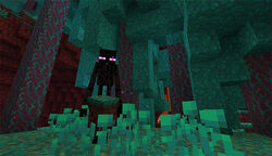 Warped Forest Official Minecraft Wiki
